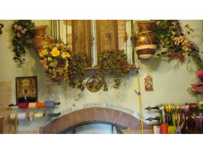 Anteprima foto 1 - Attività Altro - Non Alimentare in Gestione a Monte Compatri (Roma)