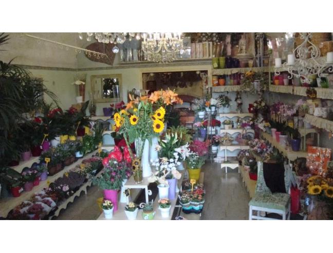 Anteprima foto 2 - Attività Altro - Non Alimentare in Gestione a Monte Compatri (Roma)