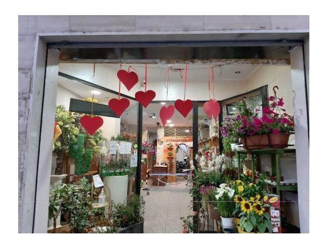 Anteprima foto 5 - Attività Altro - Non Alimentare in Vendita a Benevento - Centro città