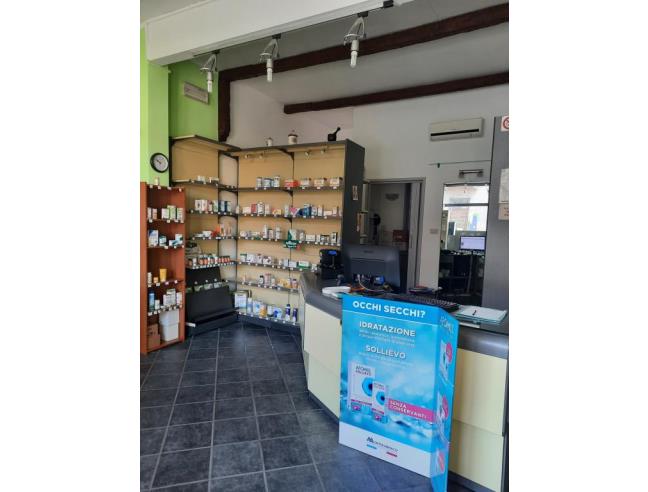 Anteprima foto 6 - Attività Altro - Non Alimentare in Vendita a Vigevano (Pavia)