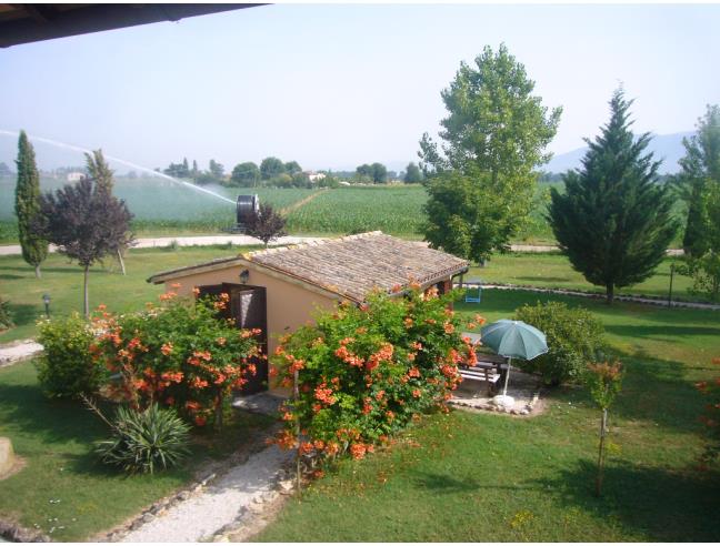 Anteprima foto 2 - Attività Azienda Agricola in Vendita a Bevagna - Cantalupo