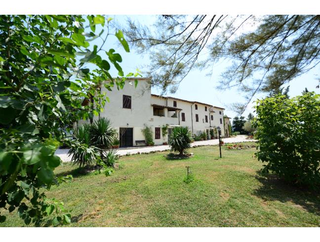 Anteprima foto 3 - Attività Azienda Agricola in Vendita a Bevagna - Cantalupo