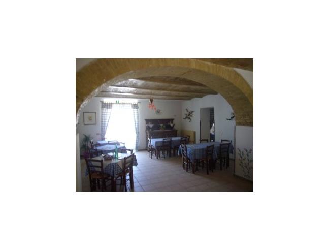 Anteprima foto 6 - Attività Azienda Agricola in Vendita a Bevagna - Cantalupo