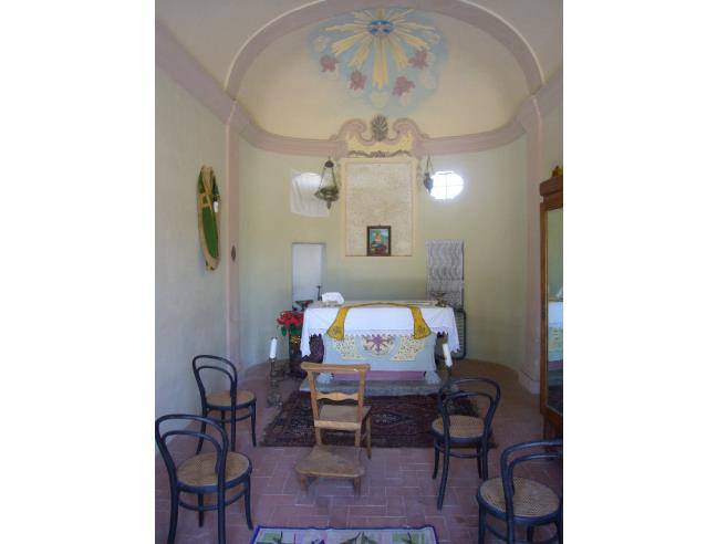 Anteprima foto 7 - Attività Azienda Agricola in Vendita a Bevagna - Cantalupo