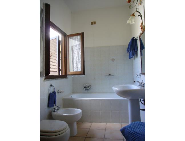 Anteprima foto 8 - Attività Azienda Agricola in Vendita a Bevagna - Cantalupo