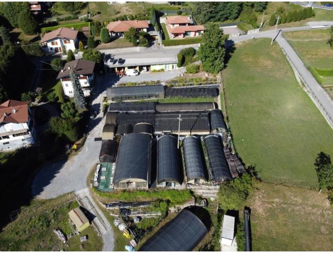 Anteprima foto 2 - Attività Azienda Agricola in Vendita a Centro Valle Intelvi (Como)