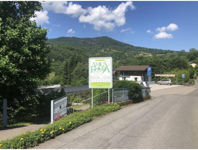 Anteprima foto 4 - Attività Azienda Agricola in Vendita a Centro Valle Intelvi (Como)