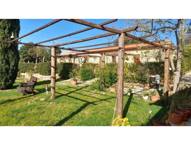 Anteprima foto 2 - Attività Azienda Agricola in Vendita a Massa Marittima (Grosseto)