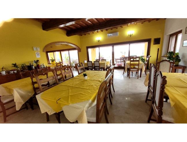 Anteprima foto 3 - Attività Azienda Agricola in Vendita a Massa Marittima (Grosseto)