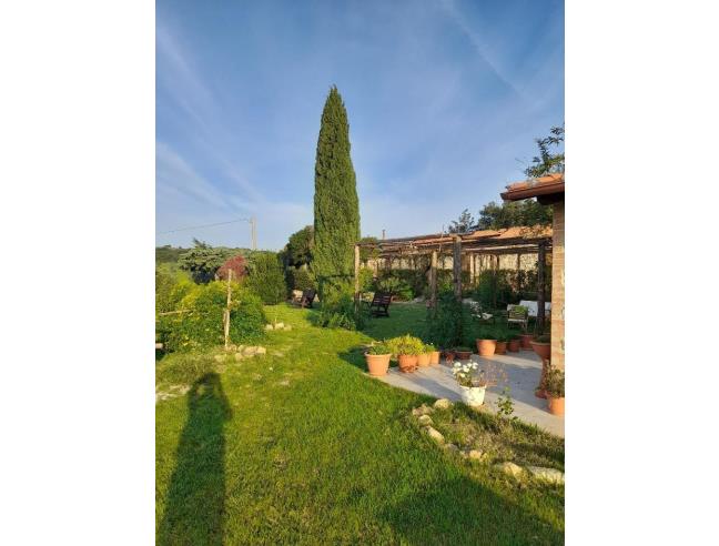 Anteprima foto 4 - Attività Azienda Agricola in Vendita a Massa Marittima (Grosseto)