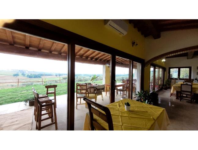 Anteprima foto 5 - Attività Azienda Agricola in Vendita a Massa Marittima (Grosseto)