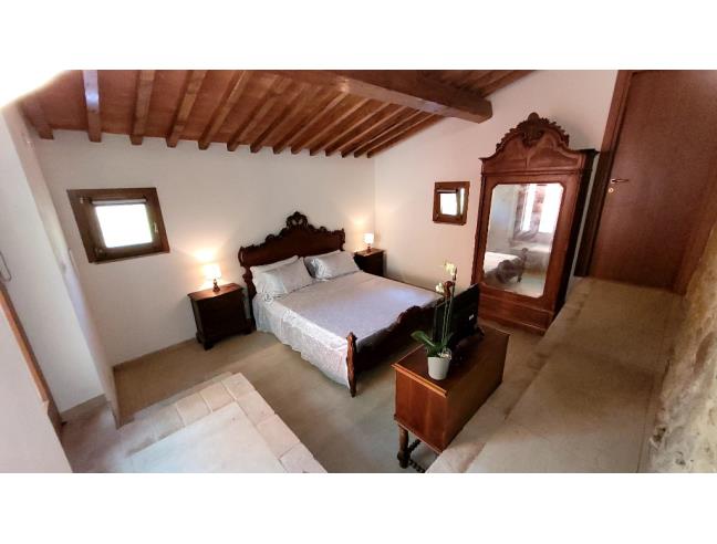 Anteprima foto 6 - Attività Azienda Agricola in Vendita a Massa Marittima (Grosseto)