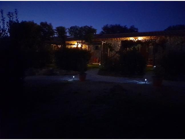 Anteprima foto 8 - Attività Azienda Agricola in Vendita a Massa Marittima (Grosseto)