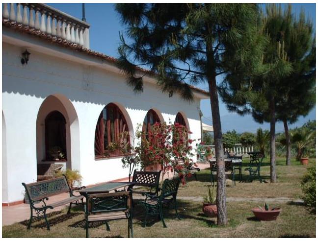 Anteprima foto 2 - Attività Azienda Agricola in Vendita a Tarsia (Cosenza)