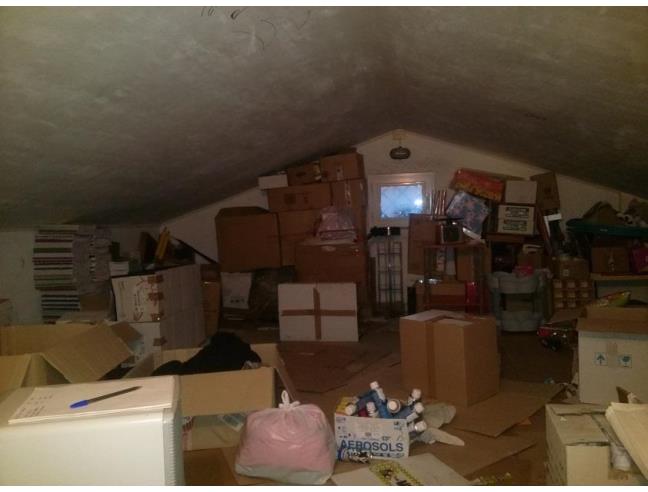 Anteprima foto 3 - Attività Cartoleria/Libreria in Vendita a Rocca di Papa (Roma)