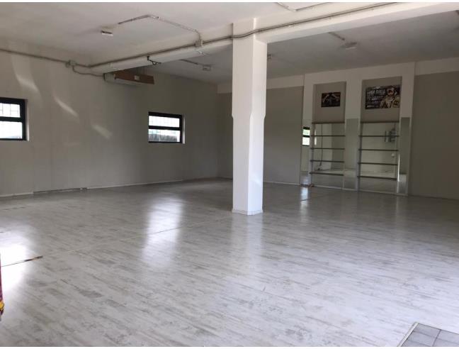 Anteprima foto 3 - Attività Palestra in Vendita a Alatri (Frosinone)