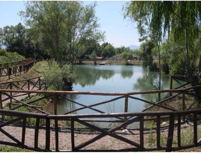 Anteprima foto 4 - Attività Ristorante in Gestione a Buonabitacolo (Salerno)