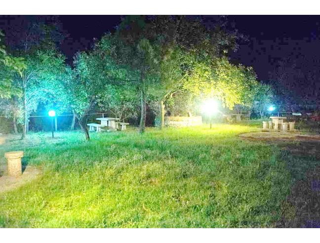 Anteprima foto 6 - Attività Ristorante in Gestione a Montegiordano (Cosenza)