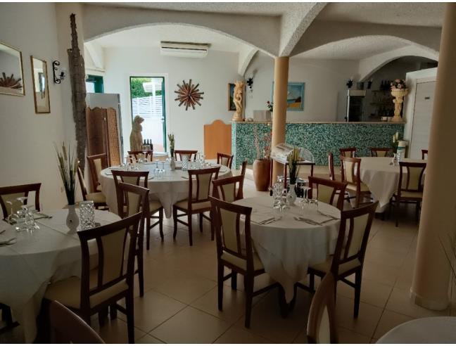 Anteprima foto 6 - Attività Ristorante in Gestione a Termoli (Campobasso)