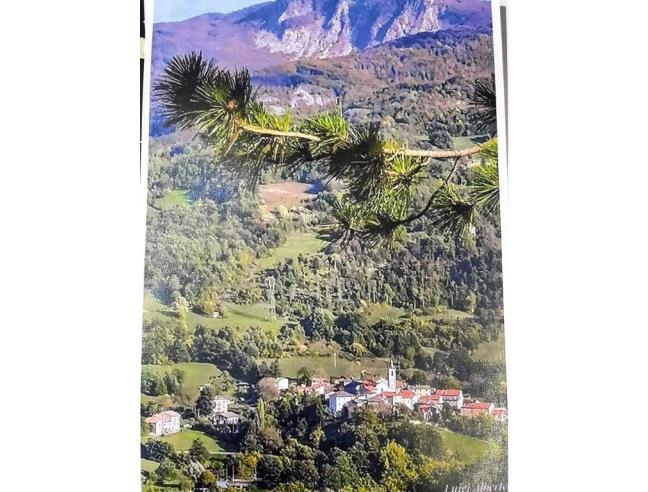 Anteprima foto 7 - Attività Ristorante in Vendita a Berceto - Fugazzolo Di Sopra