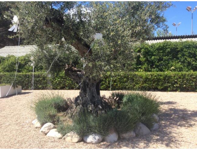 Anteprima foto 6 - Attività Ristorante in Vendita a Silvi - Silvi Marina