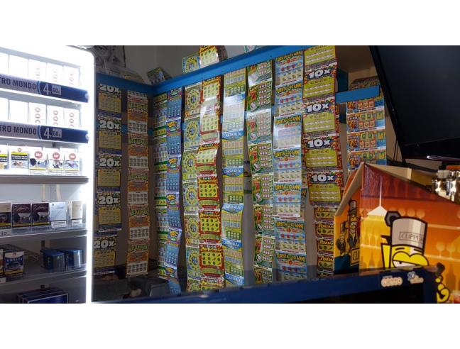 Anteprima foto 6 - Attività Tabaccheria in Vendita a Pietrasanta (Lucca)