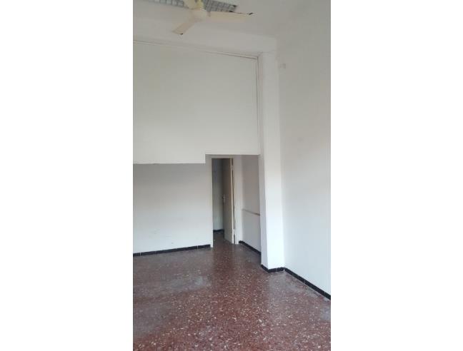 Anteprima foto 4 - Attività Telefonia/Informatica in Vendita a Piombino (Livorno)