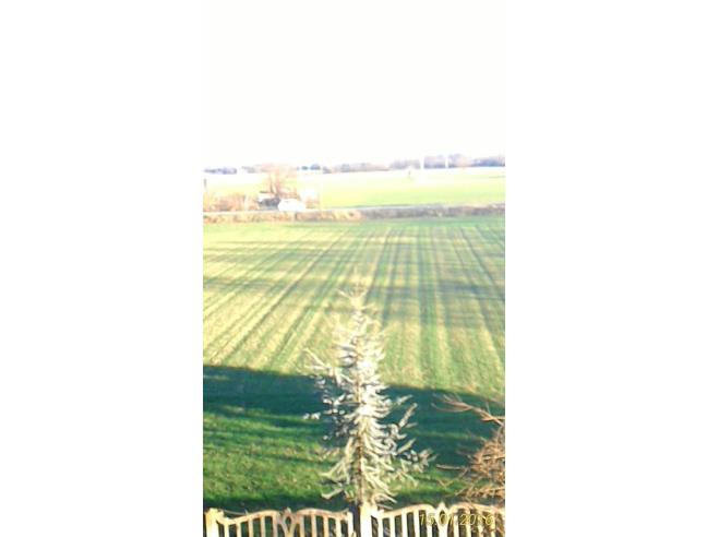 Anteprima foto 4 - Azienda Agricola in Vendita a Alessandria (Alessandria)