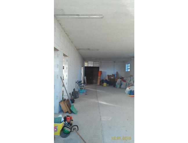 Anteprima foto 6 - Azienda Agricola in Vendita a Alessandria (Alessandria)