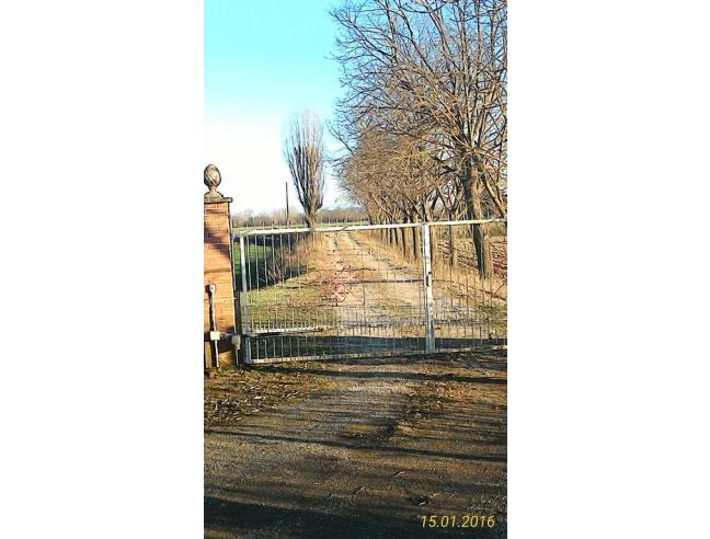 Anteprima foto 7 - Azienda Agricola in Vendita a Alessandria (Alessandria)