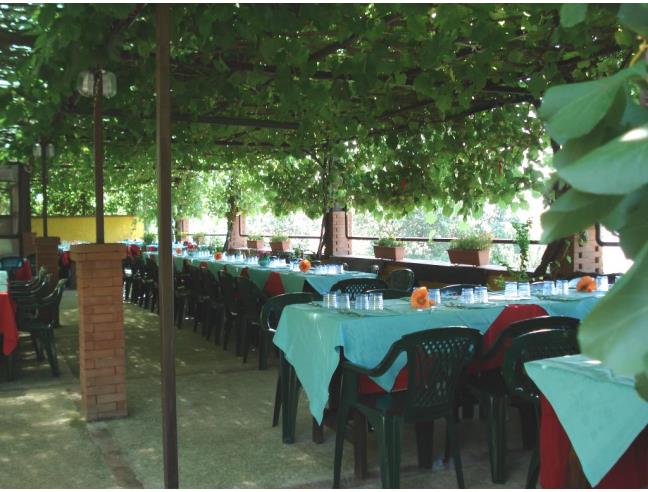 Anteprima foto 2 - Azienda Agricola in Vendita a Campagna - Serradarce