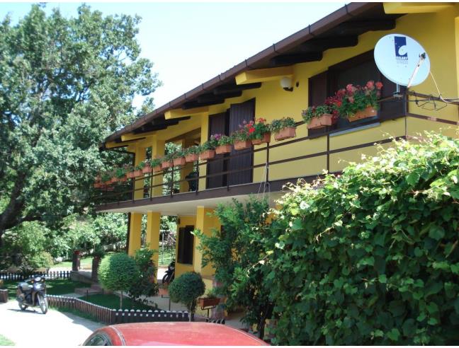 Anteprima foto 3 - Azienda Agricola in Vendita a Campagna - Serradarce