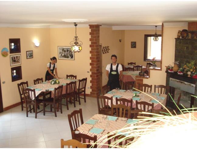 Anteprima foto 4 - Azienda Agricola in Vendita a Campagna - Serradarce