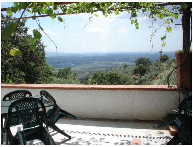 Anteprima foto 5 - Azienda Agricola in Vendita a Campagna - Serradarce