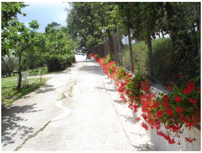Anteprima foto 6 - Azienda Agricola in Vendita a Campagna - Serradarce