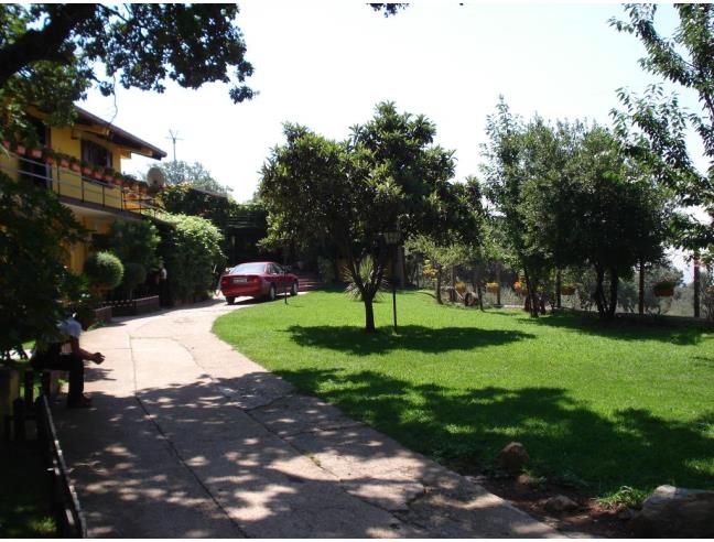 Anteprima foto 7 - Azienda Agricola in Vendita a Campagna - Serradarce