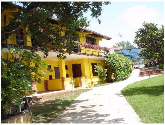 Anteprima foto 8 - Azienda Agricola in Vendita a Campagna - Serradarce