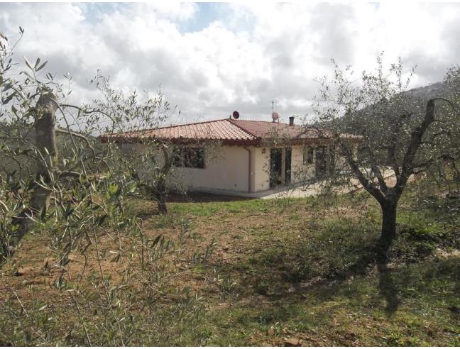 Anteprima foto 2 - Azienda Agricola in Vendita a Castiglione della Pescaia - Vetulonia