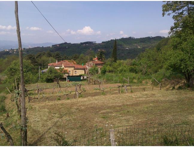 Anteprima foto 1 - Azienda Agricola in Vendita a Fosdinovo - Caprognano