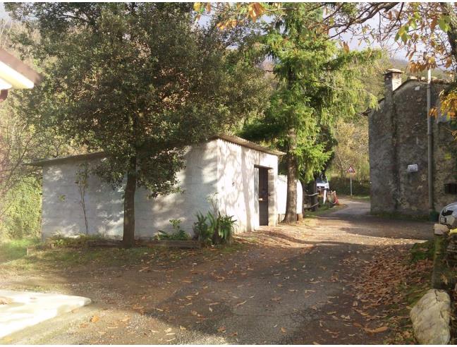 Anteprima foto 2 - Azienda Agricola in Vendita a Fosdinovo - Caprognano