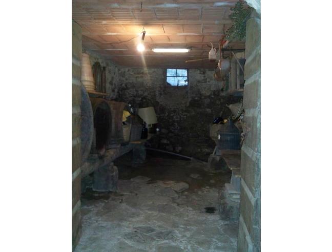 Anteprima foto 4 - Azienda Agricola in Vendita a Fosdinovo - Caprognano