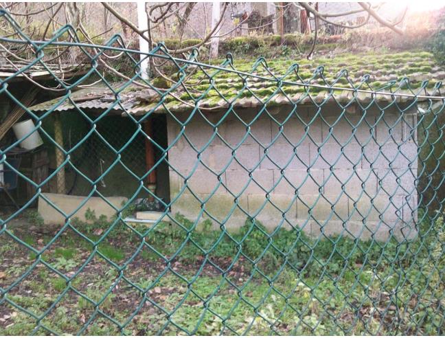 Anteprima foto 8 - Azienda Agricola in Vendita a Fosdinovo - Caprognano