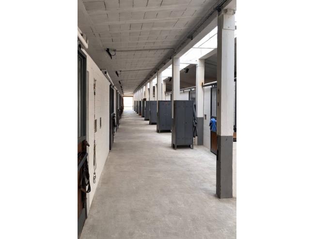 Anteprima foto 4 - Azienda Agricola in Vendita a Lodi Vecchio (Lodi)