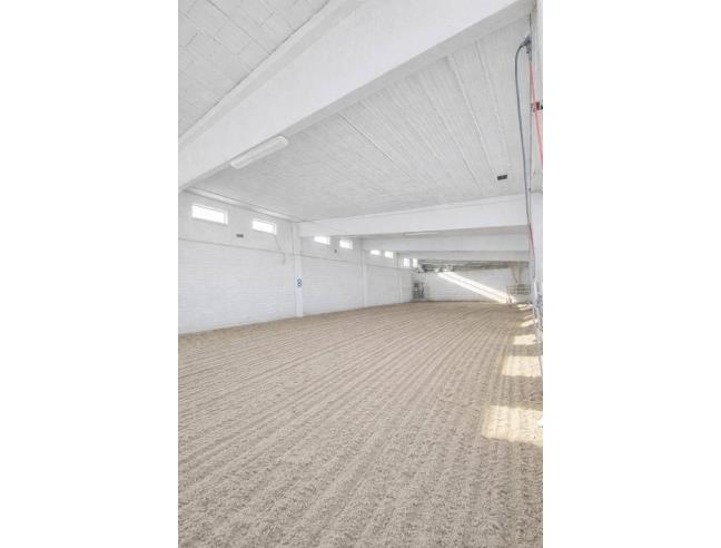 Anteprima foto 5 - Azienda Agricola in Vendita a Lodi Vecchio (Lodi)