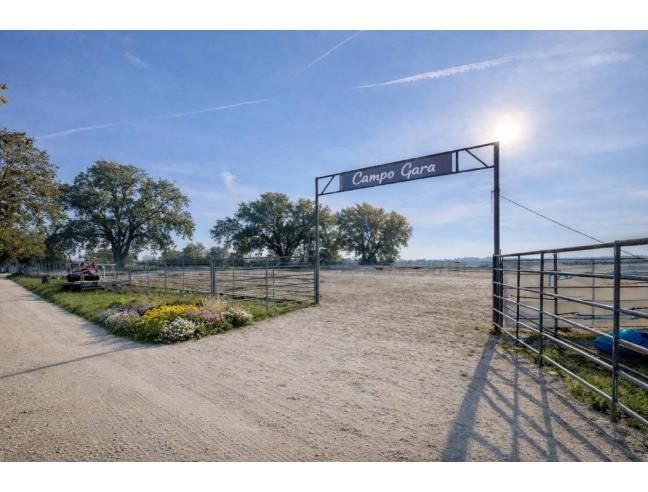 Anteprima foto 6 - Azienda Agricola in Vendita a Lodi Vecchio (Lodi)