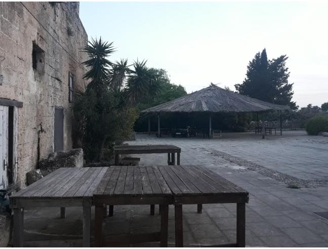 Anteprima foto 5 - Azienda Agricola in Vendita a Nardò - Pagani