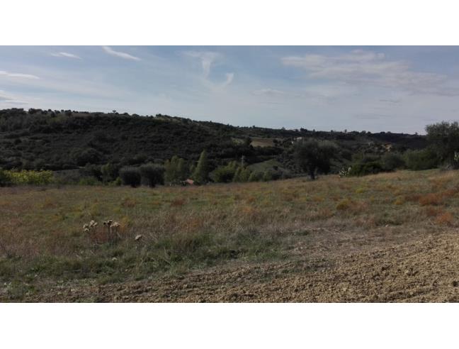 Anteprima foto 2 - Azienda Agricola in Vendita a Pisticci - Tinchi