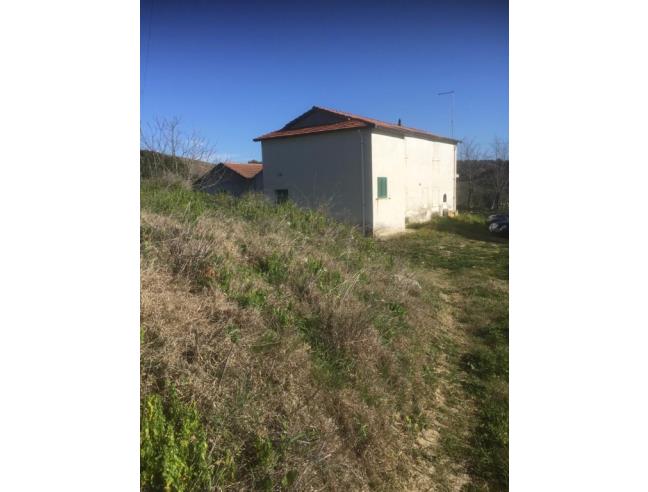 Anteprima foto 3 - Azienda Agricola in Vendita a Pisticci - Tinchi