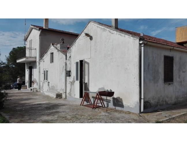 Anteprima foto 6 - Azienda Agricola in Vendita a Pisticci - Tinchi