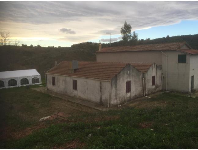 Anteprima foto 8 - Azienda Agricola in Vendita a Pisticci - Tinchi